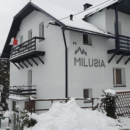 Milusia Muszyna Hotel ภายนอก รูปภาพ
